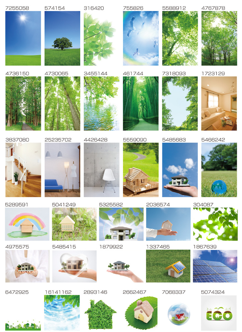 image_collection04