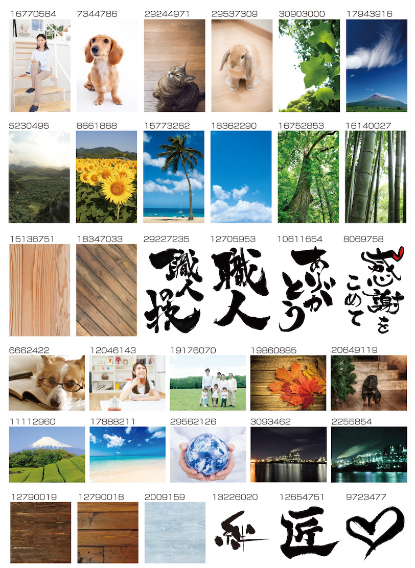 image_collection08